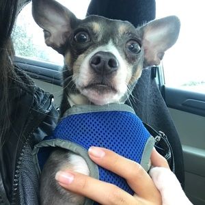 Meet your Posher, Michelle